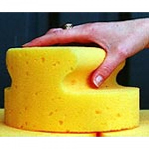 Whopper Car Sponge - WCSP